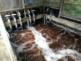 MBR tank with wastewater Johor Bahru (JB) | Wastewater Treatment Johor Bahru (JB)
                                          | Waste Gas Treatment Johor Bahru (JB)
                                          