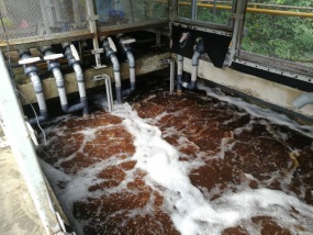 MBR tank with wastewater Johor Bahru (JB) | Wastewater Treatment Johor Bahru (JB) | Waste Gas Treatment Johor Bahru (JB)